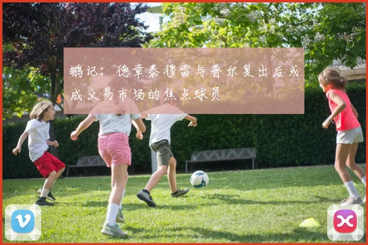 鹕记：德章泰穆雷与普尔复出后或成交易市场的焦点球员