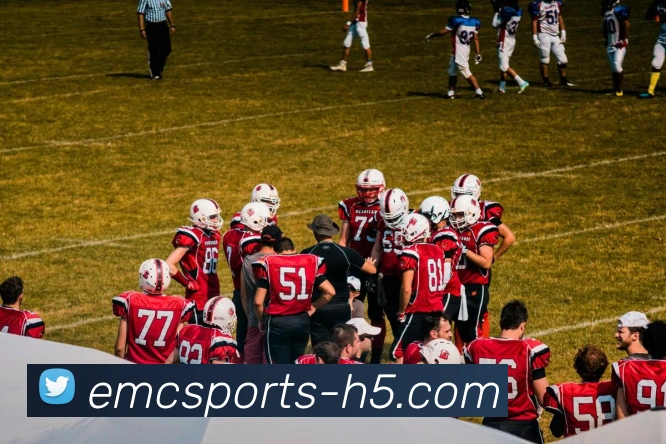 易倍体育APP 高清赛事图